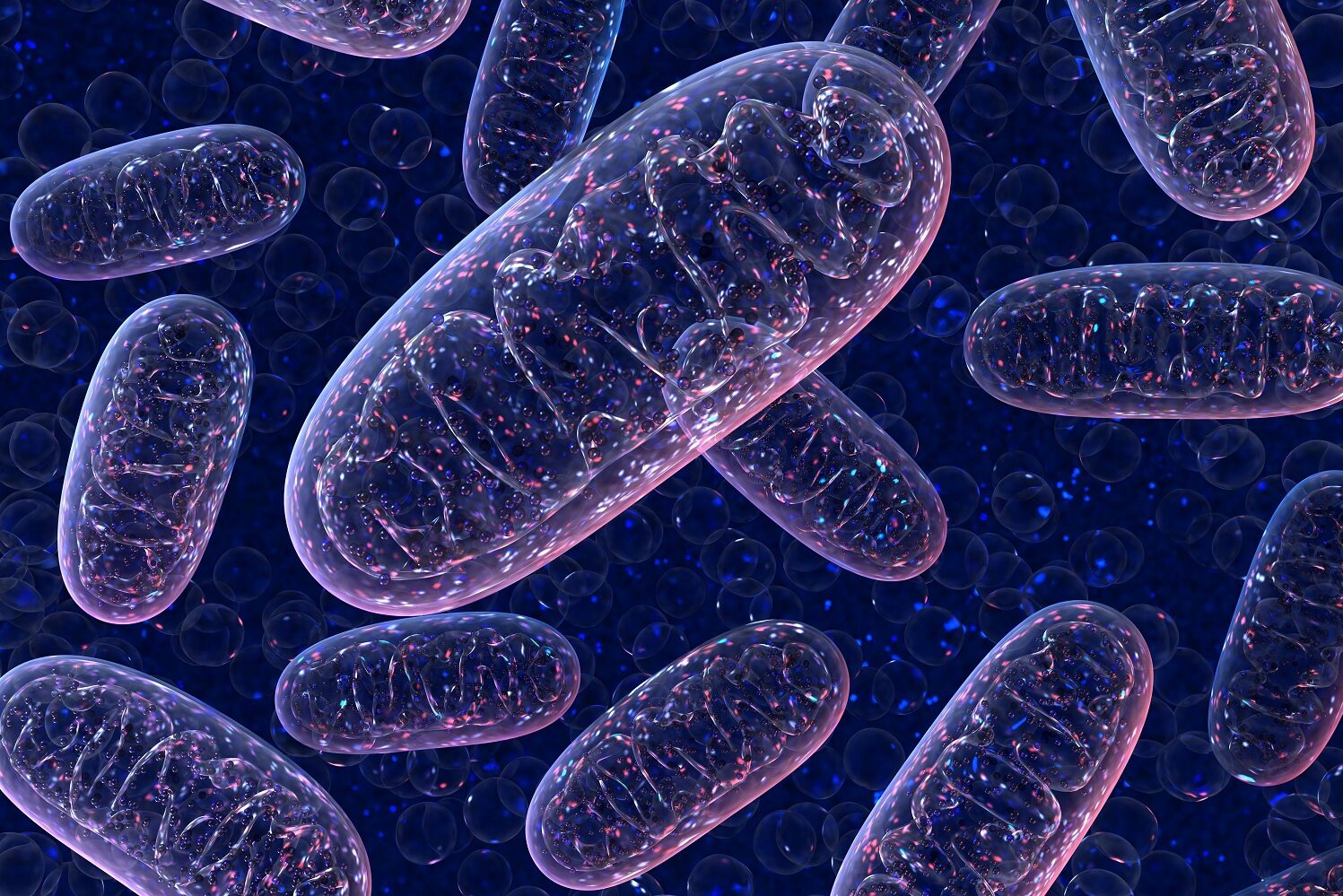 Mitochondriopathie – wenn den Zellen die Energie ausgeht